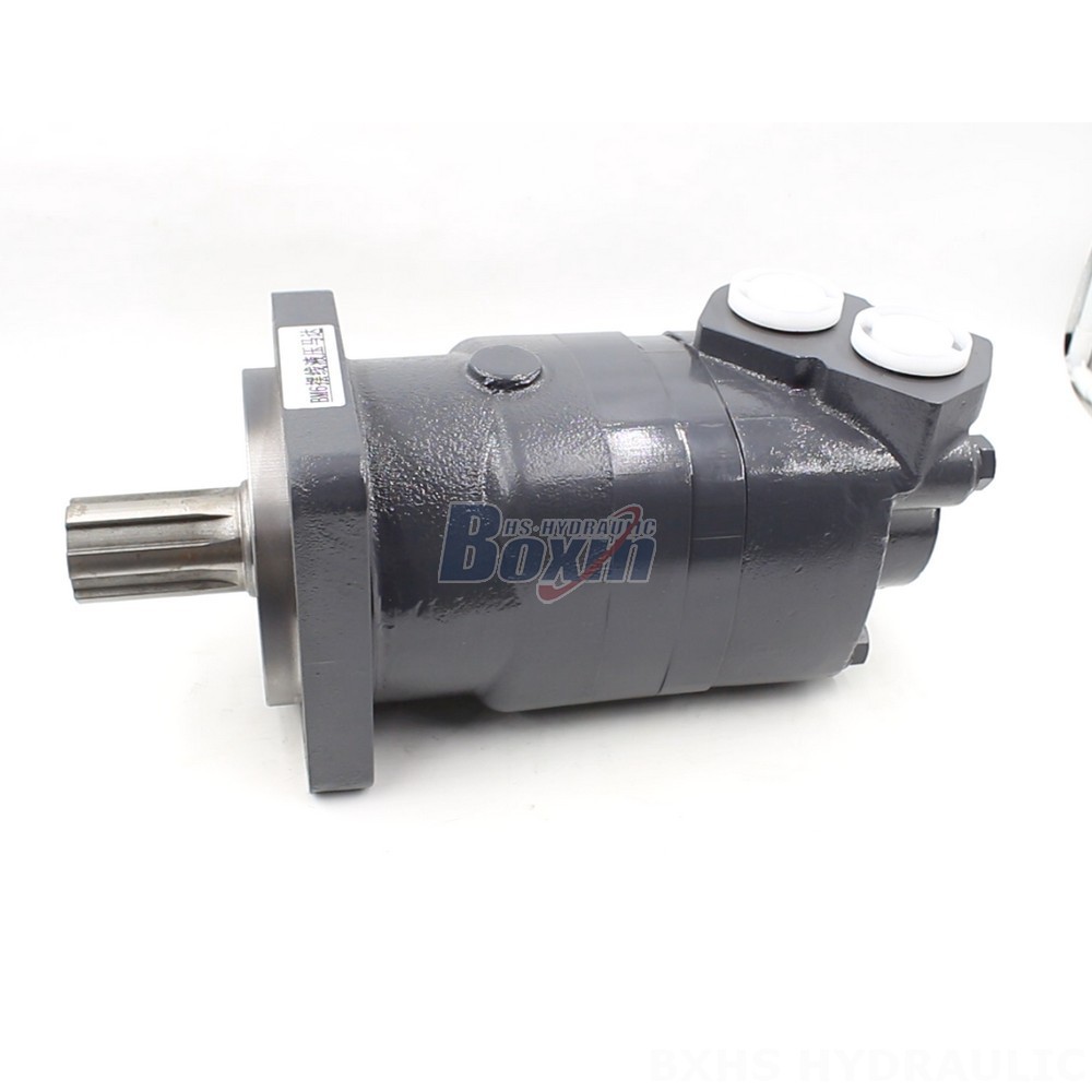 BM6 Cycloid Hydraulic Motor: Partnership Opportunities for Global Distributors main image